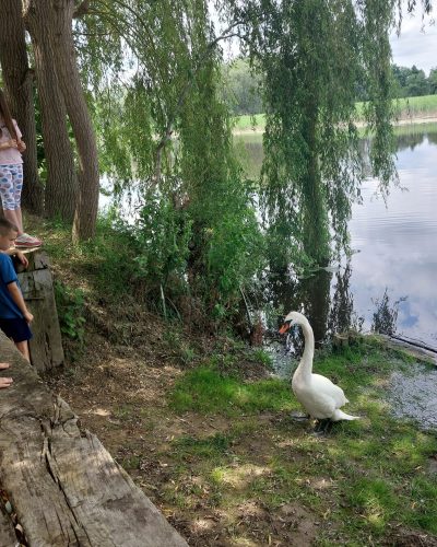 Ješkovo, 16. lipnja 2024. 5